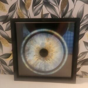 Human Iris Eye Picture 7.5x7.5 framed